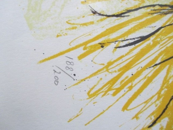 Image 1 of Indian Soul - screen print by VanSanten