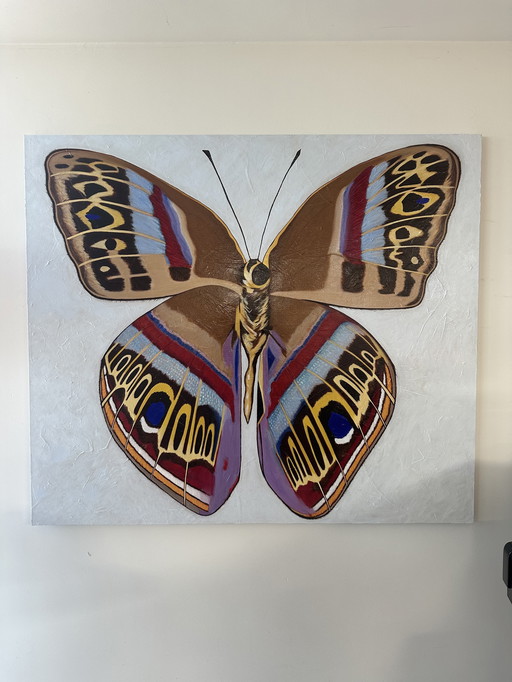 Butterfly Oil on Canvas