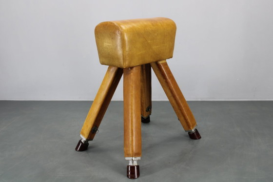 Image 1 of Tsjechoslowaaks turnpaard van leer en hout uit de jaren 50, in hoogte verstelbaar