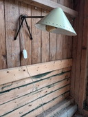 Pinocchio table lamp (1954)