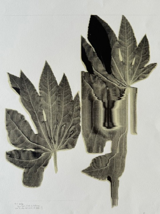 Image 1 of Due litografie firmate e numerate - Artista da identificare