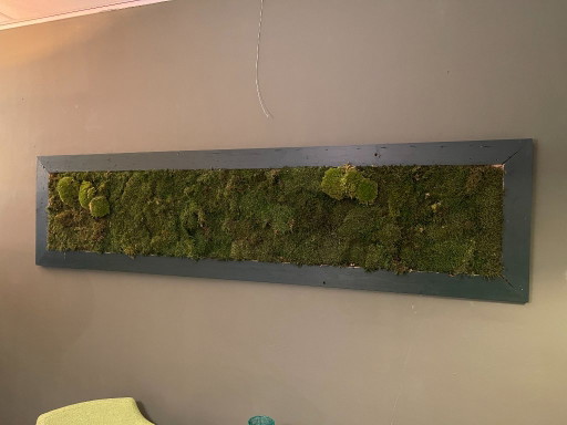 Moss Painting