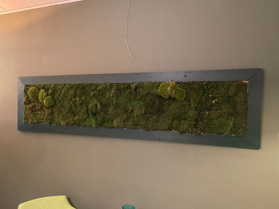 Image 1 of Moss Painting