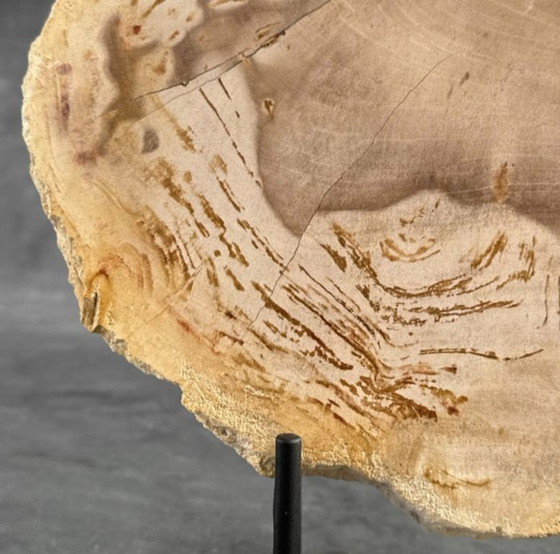 Image 1 of Madera fosilizada de Sooka, soporte hecho a medida (nuevo)