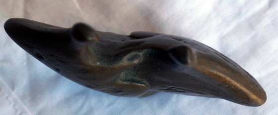 Image 1 of Imagen de Corry Ammerlaan