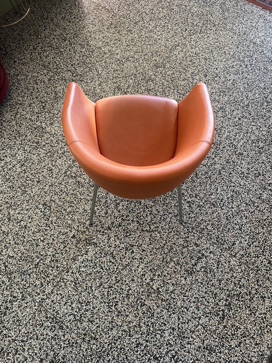 Image 1 of 6x Artifort Megan stoelen - designklassieker