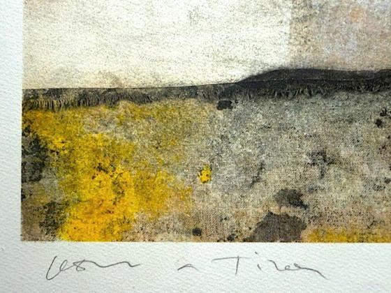 Image 1 of Original lithograph – The Swan – Proof (Bon à Tirer) – Signed (Artist to be identified)