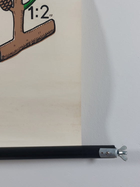 Image 1 of Vintage roll-up map, teaching aid, biology, non-flowering plant propagation, wall map