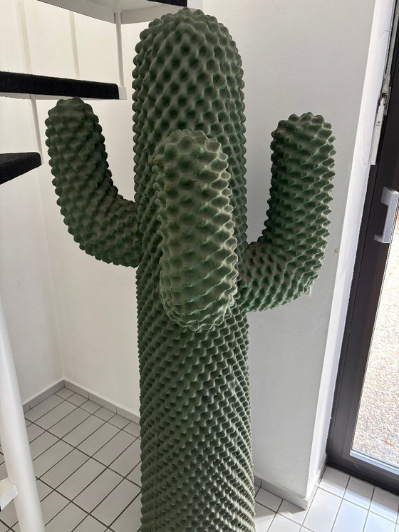 Image 1 of Cactus Guido Drocco & Franco Mello (Gufram, 1970)