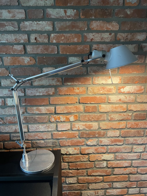 Artemide Tolomeo lamp