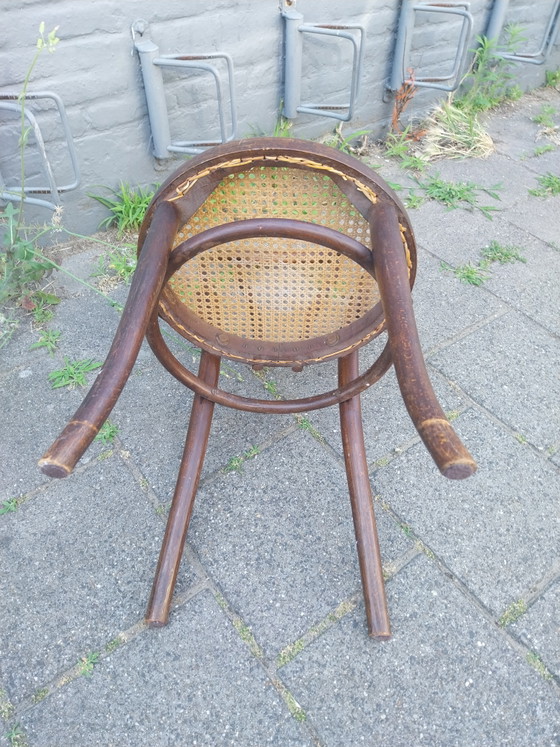 Image 1 of 1 juego de 4 Thonet Modelo 14 de la década de 1920 en perfecto estado.