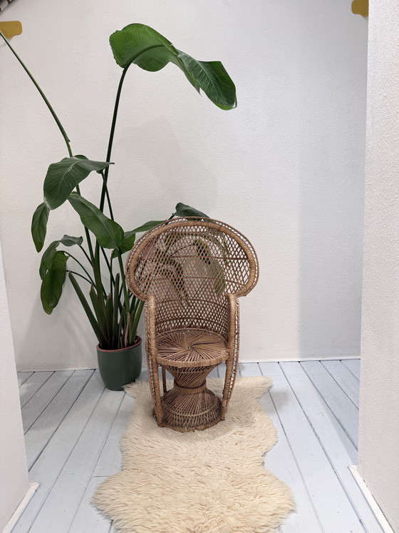 Image 1 of Rotan pauwenstoel voor kind