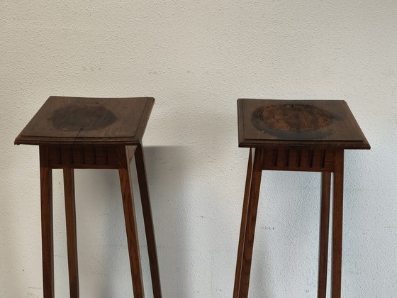 Image 1 of Mesas de plantas o estatuas de roble muy grandes y desgastadas