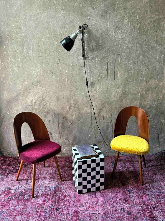 1/16 Antonín Šuman Chair 1967 for MIER Topoľčany, Mid Century Chair Walnut, Restored and reupholstered (photo 3 of 9)