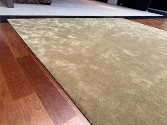 Image 1 of Mostrar modelo Alfombra Besouw 310x390