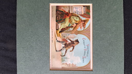 Antique print Vintage