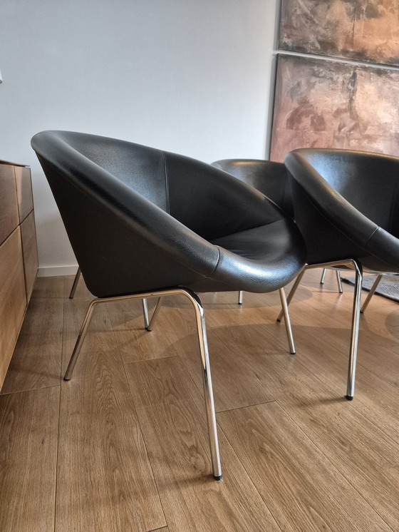 Image 1 of 6 Poltrona di design Walter Knoll 369 in pelle nera