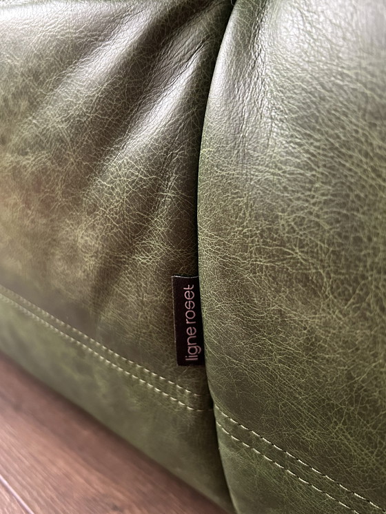 Image 1 of Ligne Roset Togo piel verde