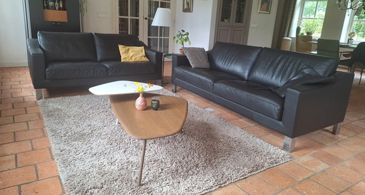 Leolux Antonia Elegance 2,5- und 3-sitzige Ledersofas