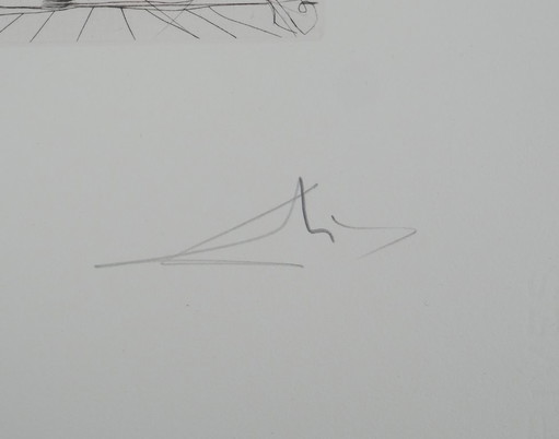 Salvador Dalí: Shakespeare: Alles komt goed wat goed afloopt, originele gesigneerde gravure – giclee prints (photo 2 of 6)