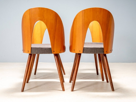 Image 1 of Chaises de salle à manger Antonín Šuman, Tatra Nábytok, Tchécoslovaquie 1960