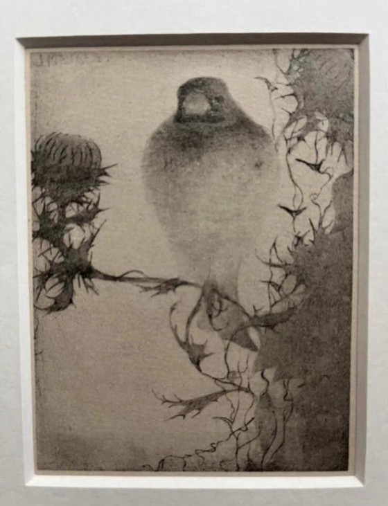 Image 1 of Jan Mankes 1889-1920 / Heliograbado original Jilguero en rama 1923