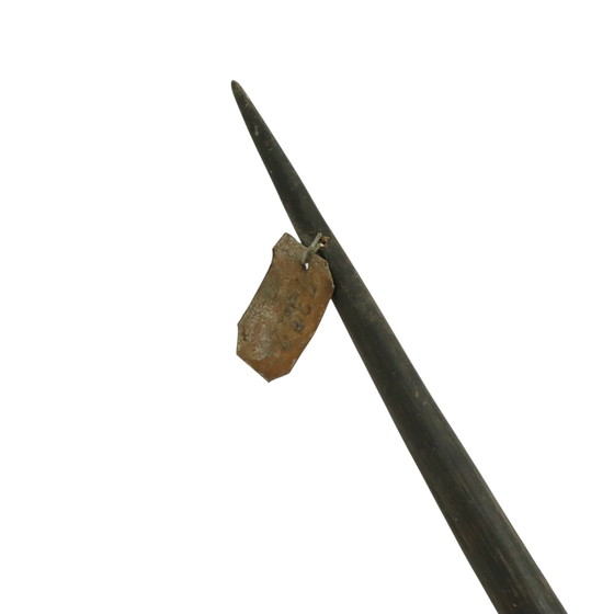 Image 1 of Taxidermie de l'antilope Oryx montée Gemsbok