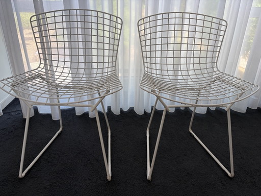 Knoll Harry Bertoia – kuipstoelen, Metal (photo 2 of 5)