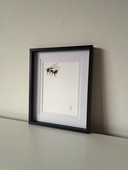 Acquerello raffigurante una piccola ape | Cornice nera