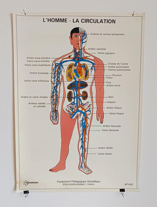 Schulisches Lernplakat Der Mensch der Verkehr 1995