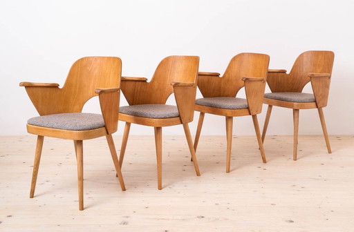 Set of 4 Mid Century Dining Chairs by Lubomir Hofmann, Fully Restored