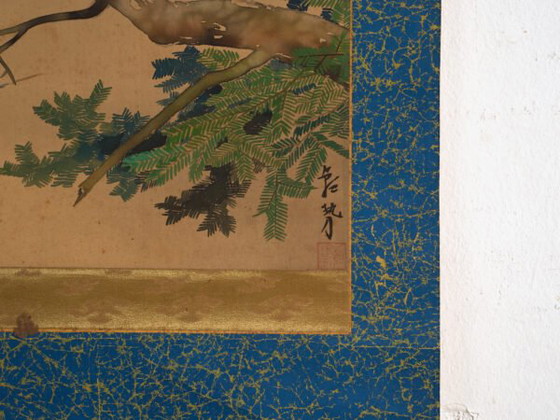 Antikes japanisches Kakejiku eines Raubvogels in Farbe auf Papier – Japan, circa 1900 (photo 37 of 40)
