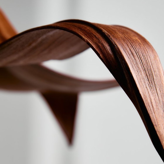 Image 1 of MK10772 Araña de hojas de coco