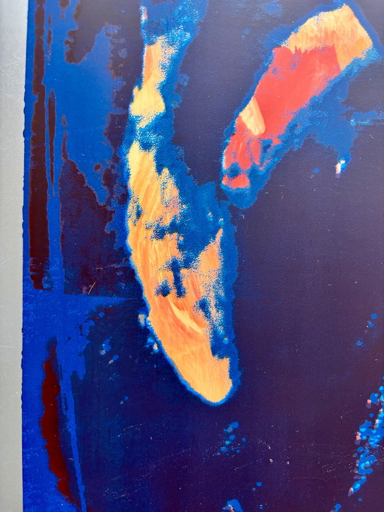 Image 1 of Zeefdruk van koikarpers