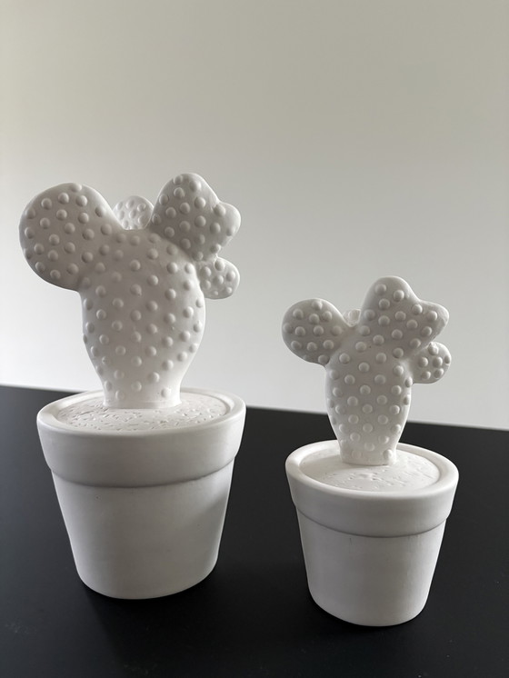Image 1 of Set of two cacti, rough ceramic