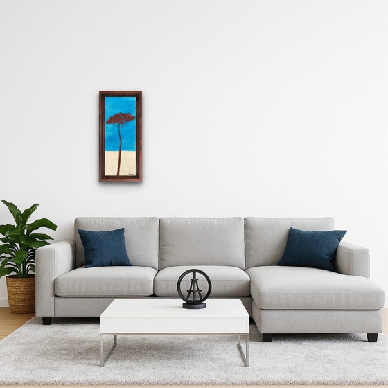 Image 1 of Umbrella pine 50x20cm
