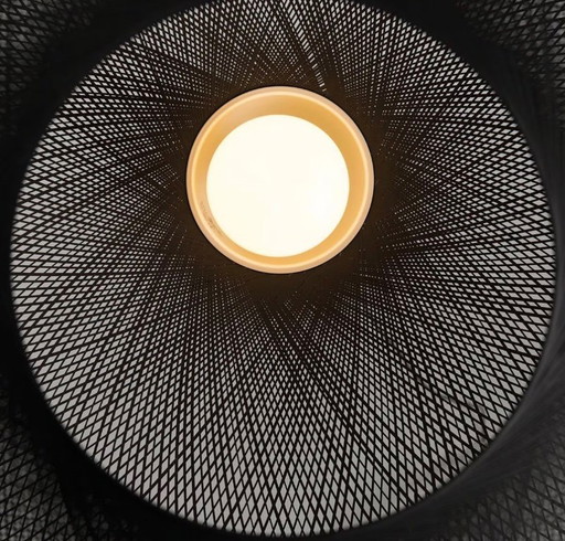 Moooi - Non Random design pendant lamp D71 black