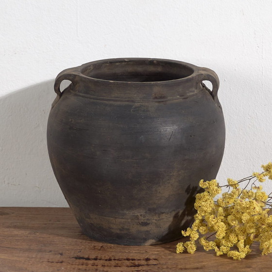 Vaso antico con manici (c.1900) #17 – Vasi (photo 4 of 40)