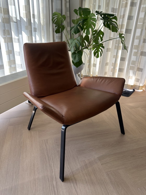 Image 1 of Ottime condizioni Design on Stock Poltrona Komio - Pelle cognac - NP: €1.829