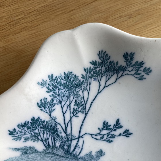 Image 1 of Charmante Geschulpte Schaal 19e-eeuws Wedgwood