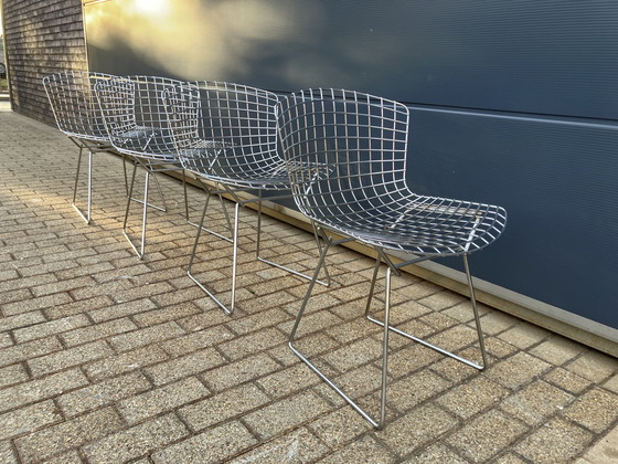 Image 1 of 4x original Knoll Bertoia Side Chairs Chrom im Top Zustand!