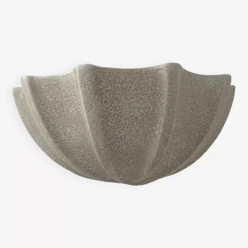 Coquillage Porcelaine, Beige Moucheté, France 1960