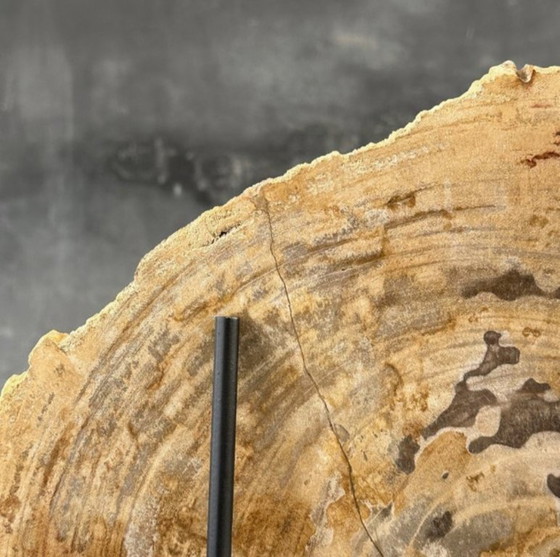 Image 1 of Bois fossilisé de Sooka, fabrication sur mesure standard (neuf)