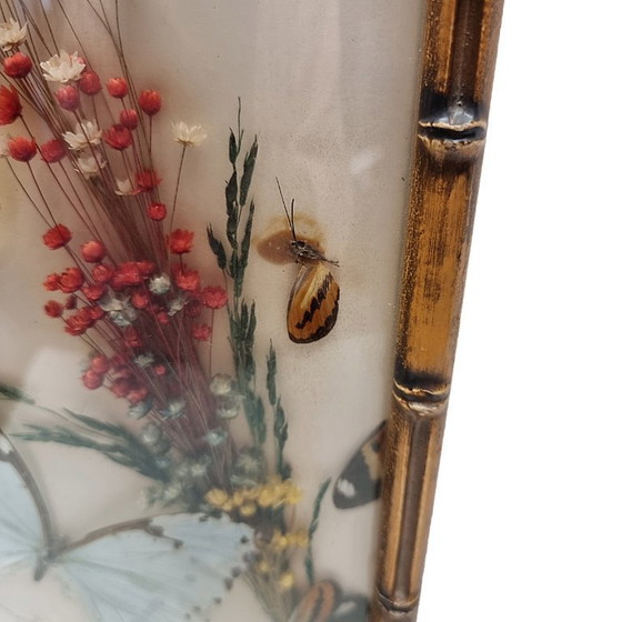 Image 1 of Vintage stuffed butterflies in frame