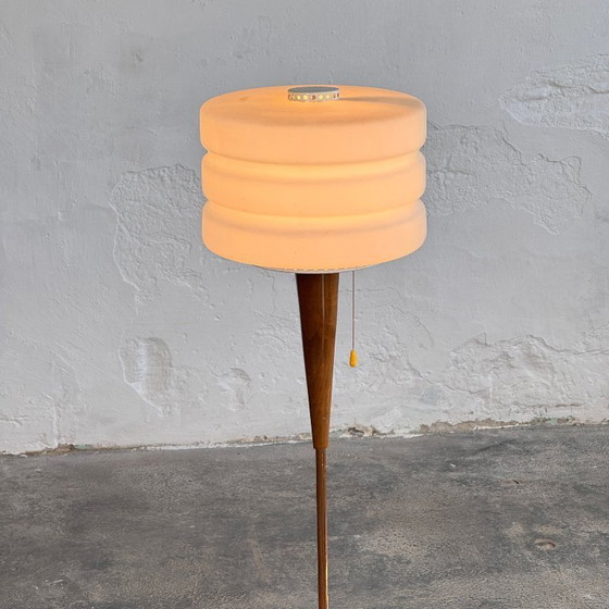 Image 1 of PZM Polish Mid-Century Standing Lamp, 1960