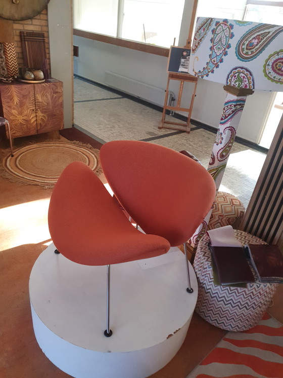 Image 1 of Artifort Orangenscheibe