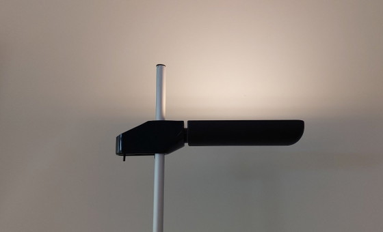 Image 1 of Lampada da terra Arteluce (Flos) nera BIS A700