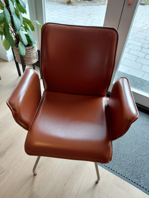 6 sedie in pelle di Enzo Luca