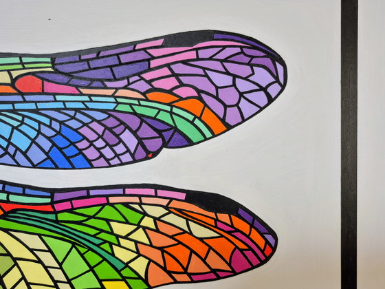 Image 1 of GRANDE ANISOPTERA