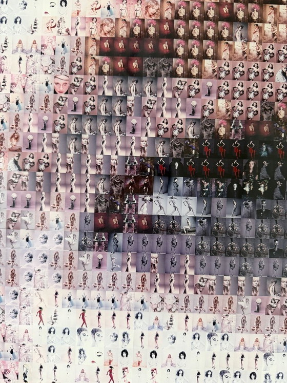 Image 1 of Anna Halm Schudel - Peinture en mosaïque photographique